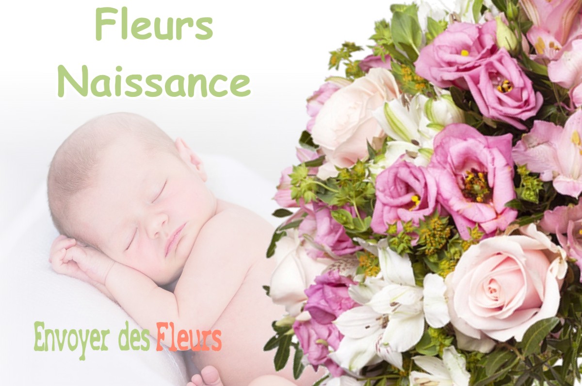 lIVRAISON FLEURS NAISSANCE à MONESTROL